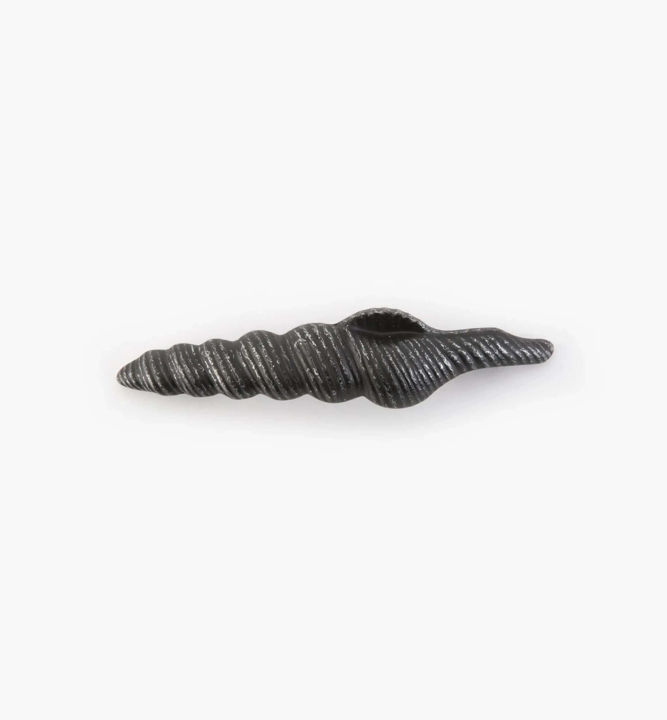 Lee Valley Pulls>Whimsical Shell Pull
